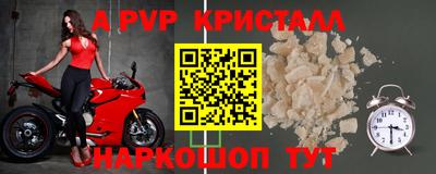 индика Пенза