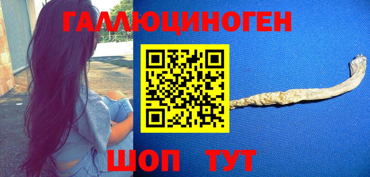Псилоцибиновые грибы ЛСД Сертолово