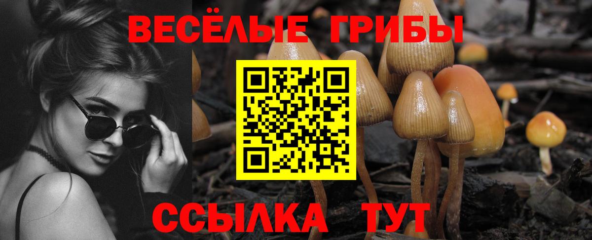 Галлюциногенные грибы мицелий  Вход с VPN  Псилоцибиновые грибы прущие грибы  Сертолово 